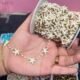 White Starfish & Bead Station Gold Stainless Steel Permanent Jewelry Chain - 4.6 - 9.0 inches(FOR BRACELET)