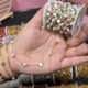 Pastel Mother of Pearl Disc Station Permanent Chain - 4.1 to 9 Inches(FOR BRACELET)